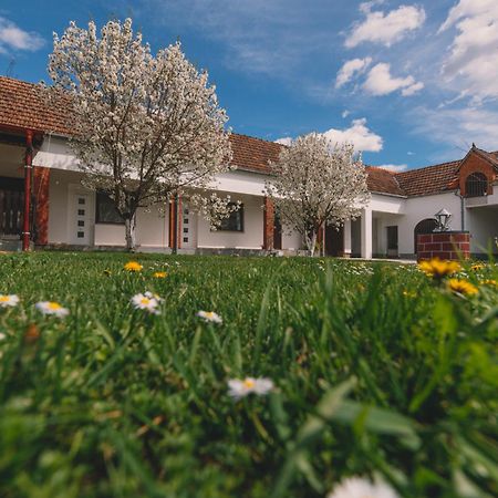 Apartman Marta I Soba Maja Gradiste Exterior foto